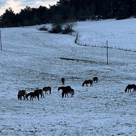 Orlegy Casa Rural Villanane Zewnętrze zdjęcie
